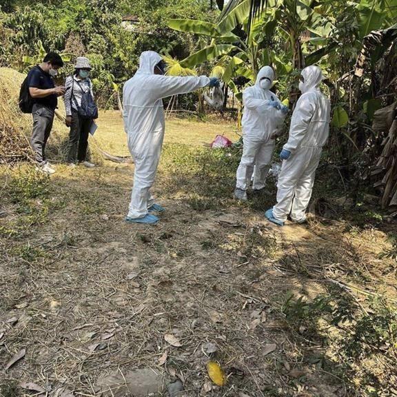 Experts say bird flu threat small despite Cambodian fatality